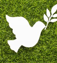 Quelle: freepic (de.freepic.com)